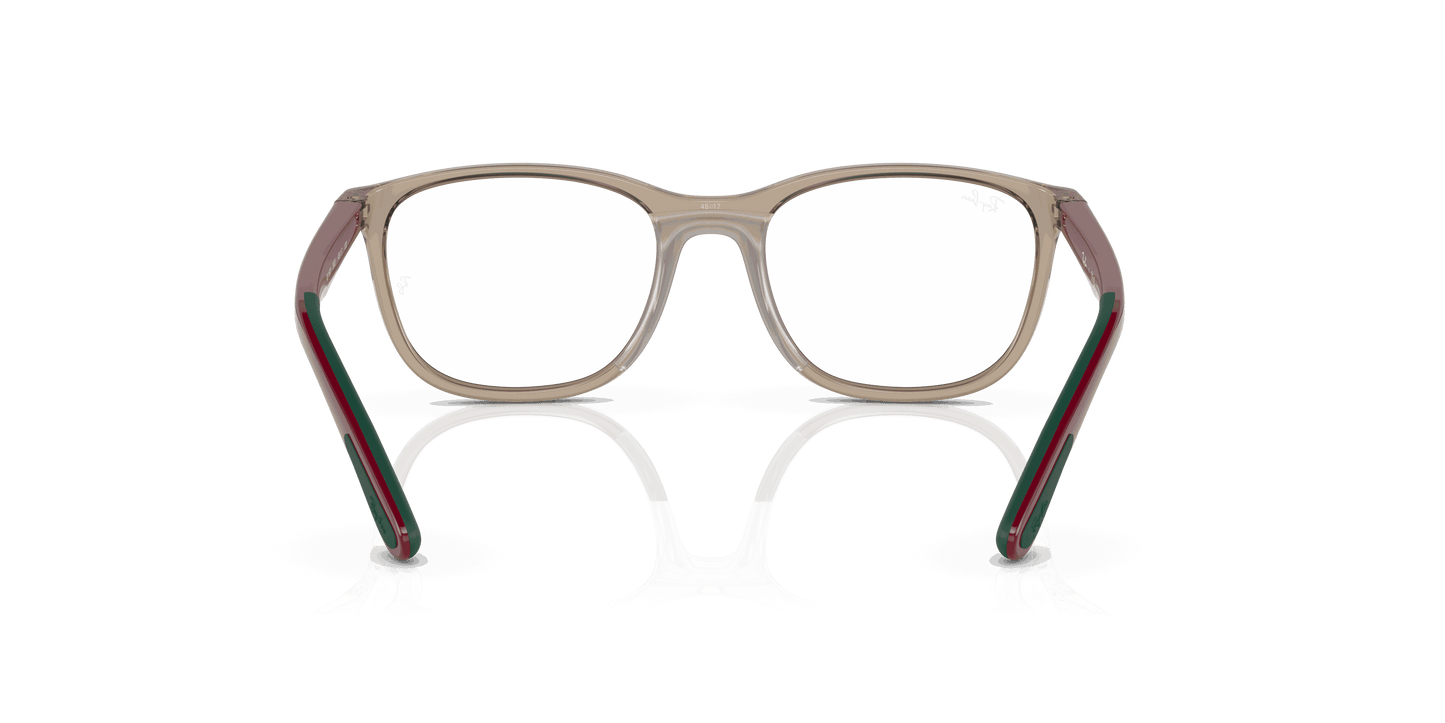 [Clear Lenses, Polished Transparent Brown On Green Frame]