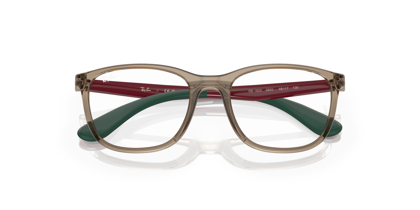 [Clear Lenses, Polished Transparent Brown On Green Frame]