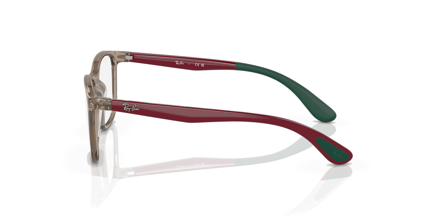 [Clear Lenses, Polished Transparent Brown On Green Frame]