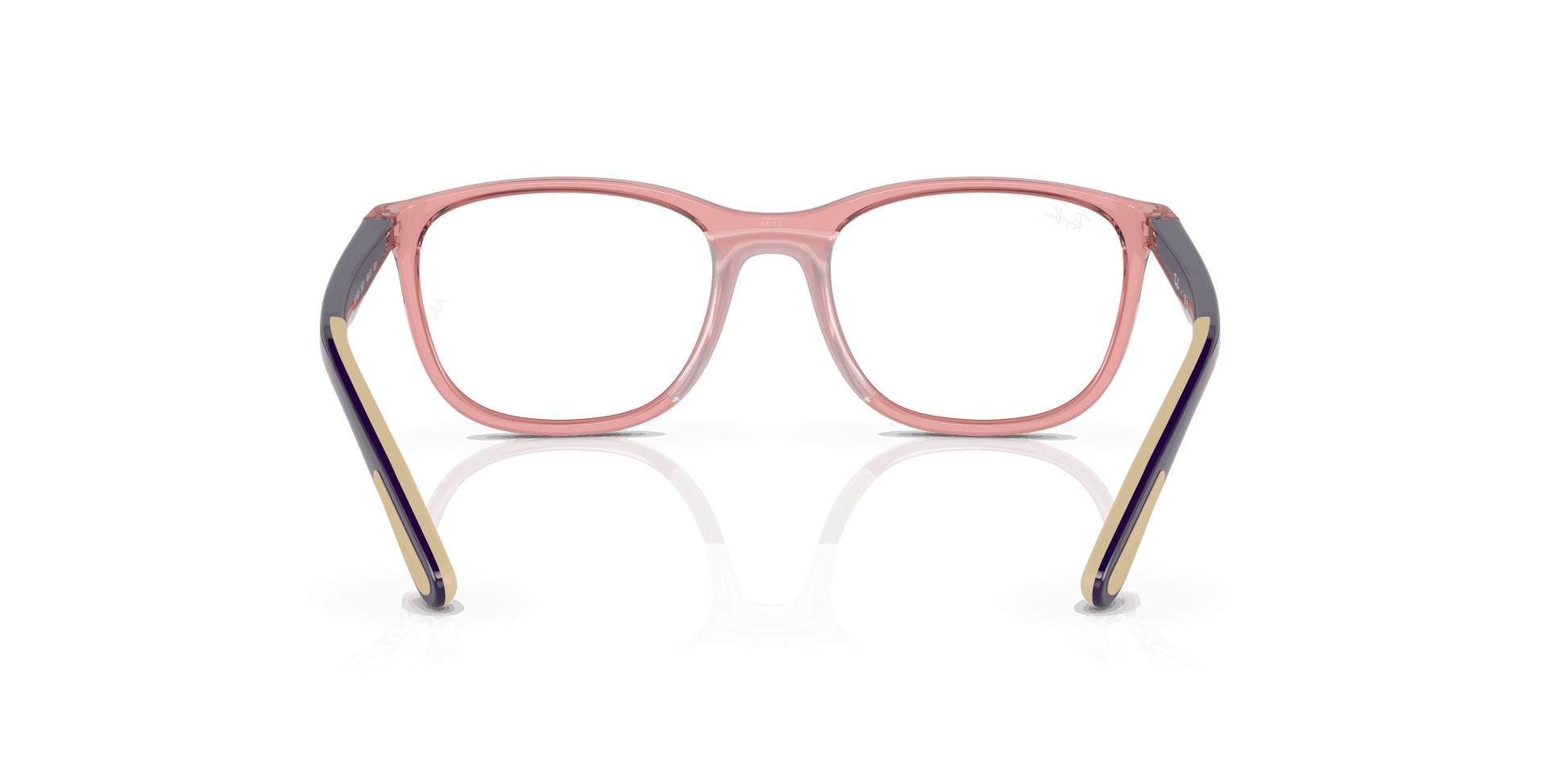 [Clear Lenses, Polished Transparent Pink Frame]