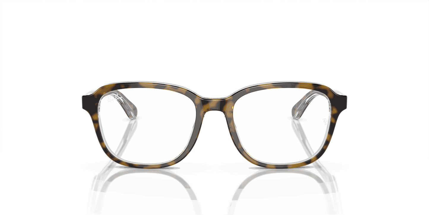 [Clear Lenses, Polished Havana On Transparent Frame]
