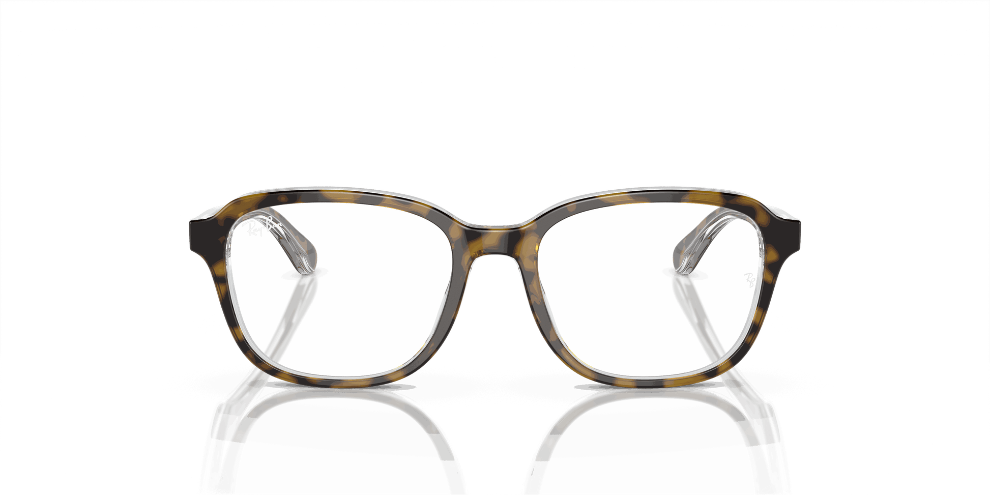 [Clear Lenses, Polished Havana On Transparent Frame]