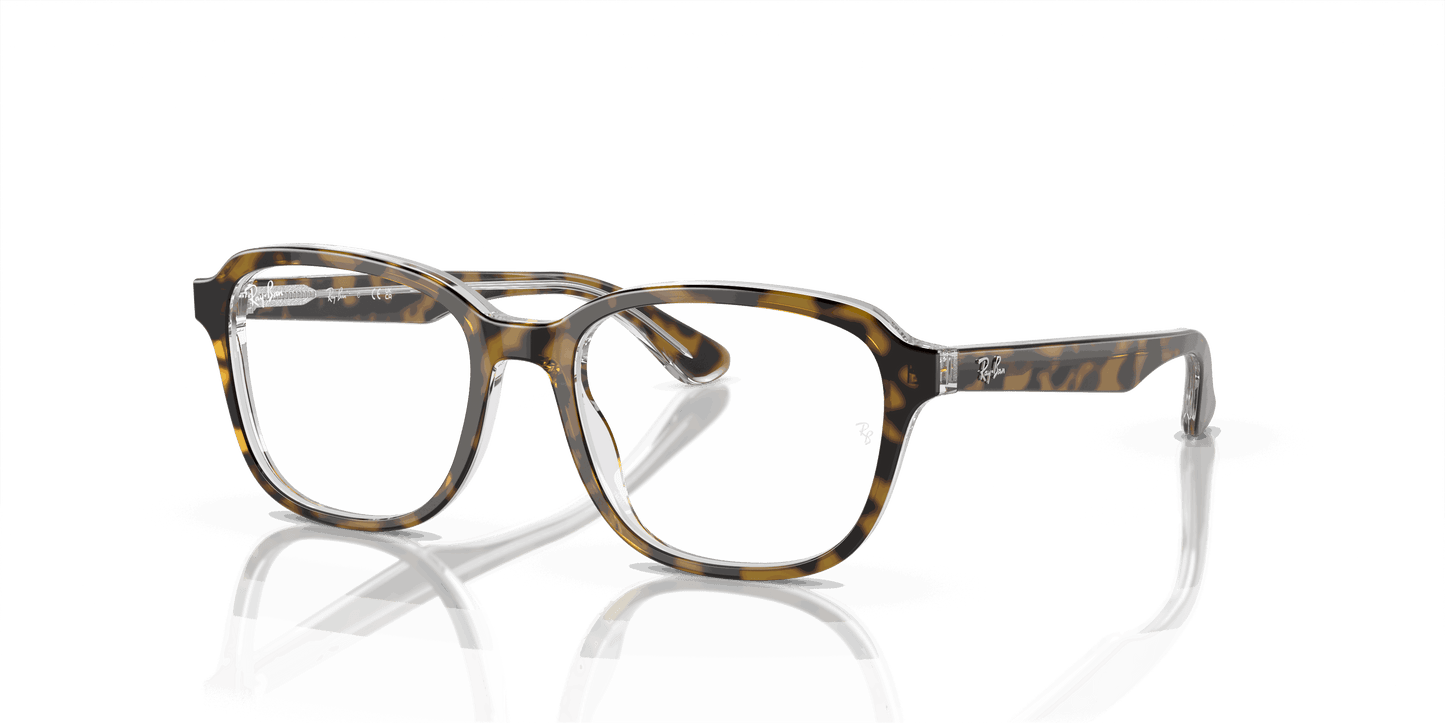 [Clear Lenses, Polished Havana On Transparent Frame]