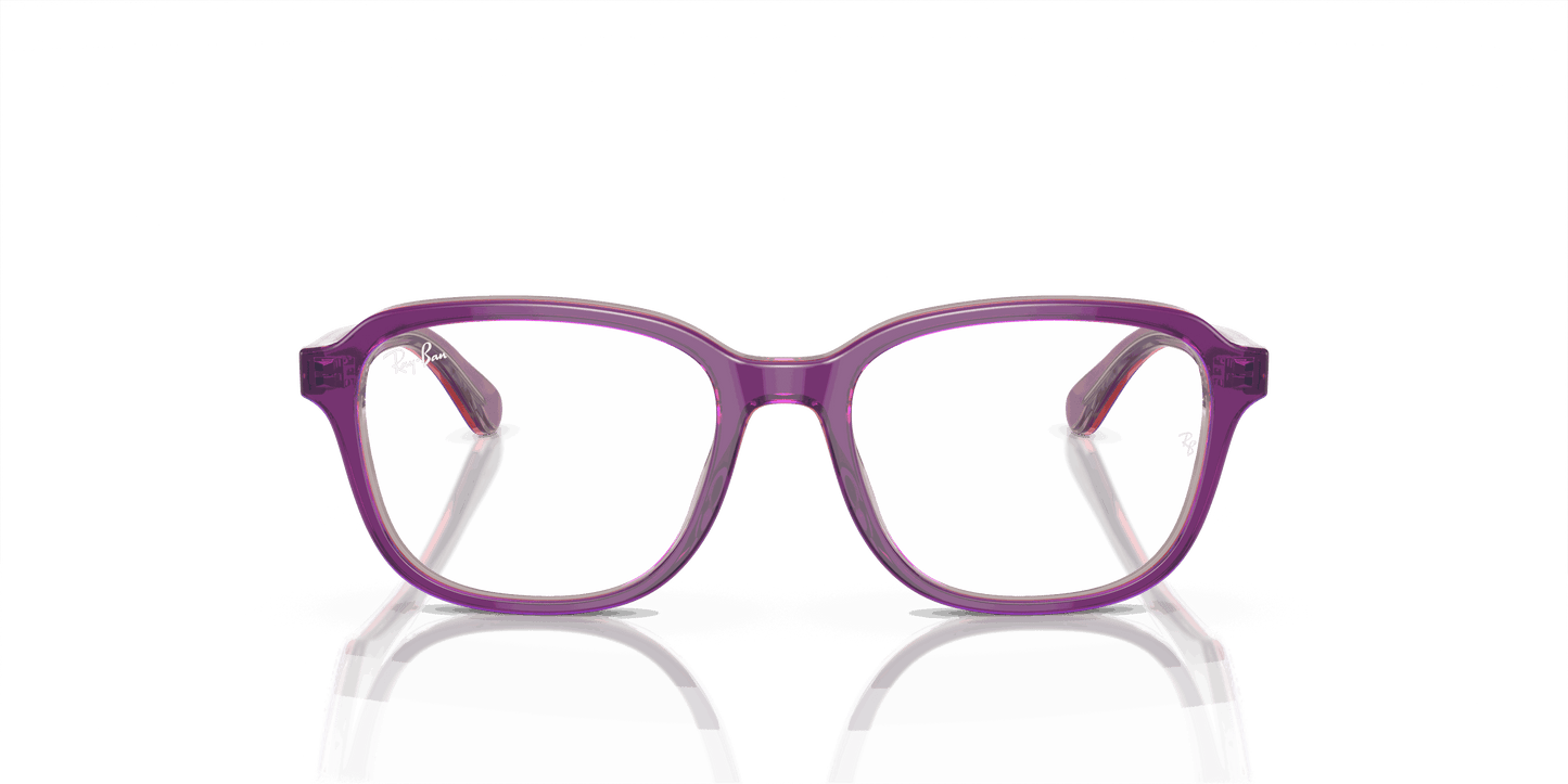 [Demo Lens Lenses, Polished Top Purple & Pink & Beige Frame]