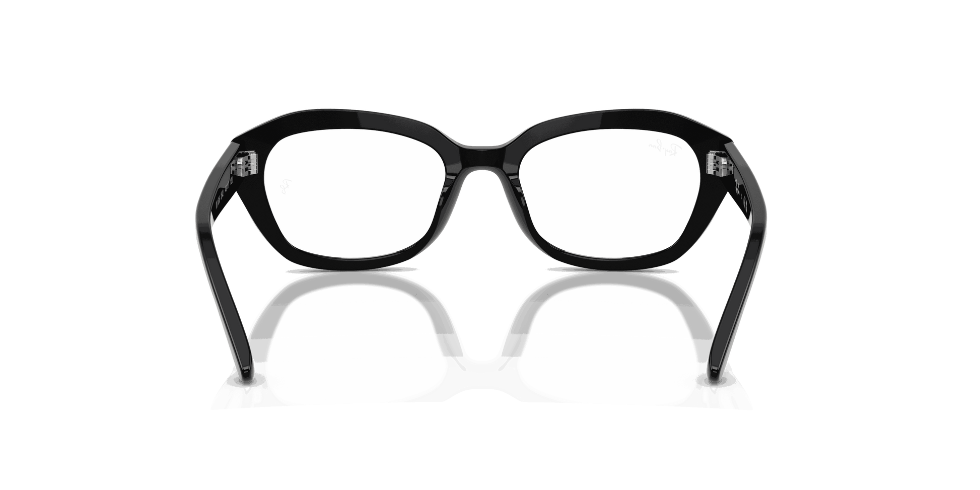 [Clear Lenses, Polished Black Frame]