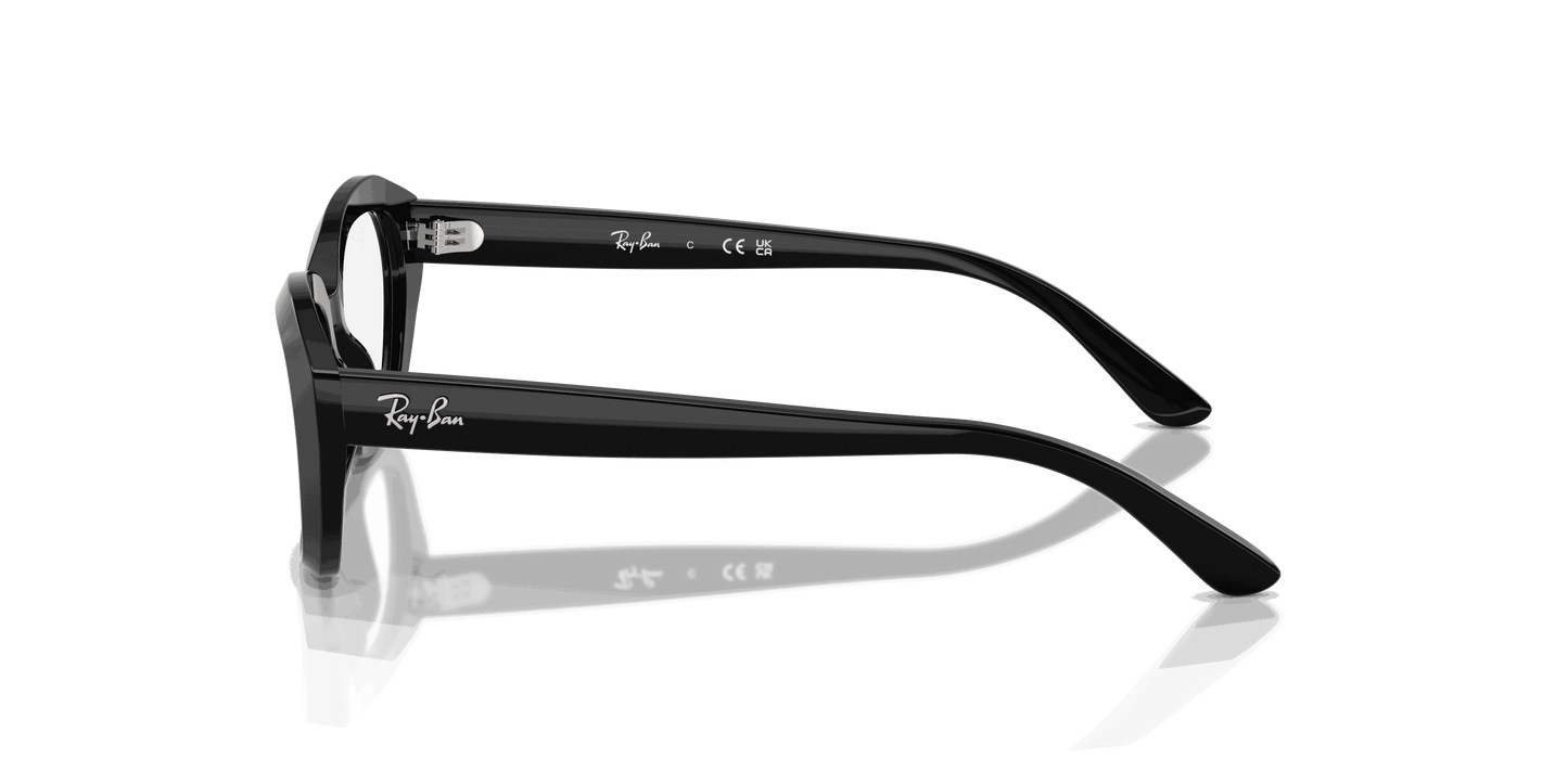 [Clear Lenses, Polished Black Frame]