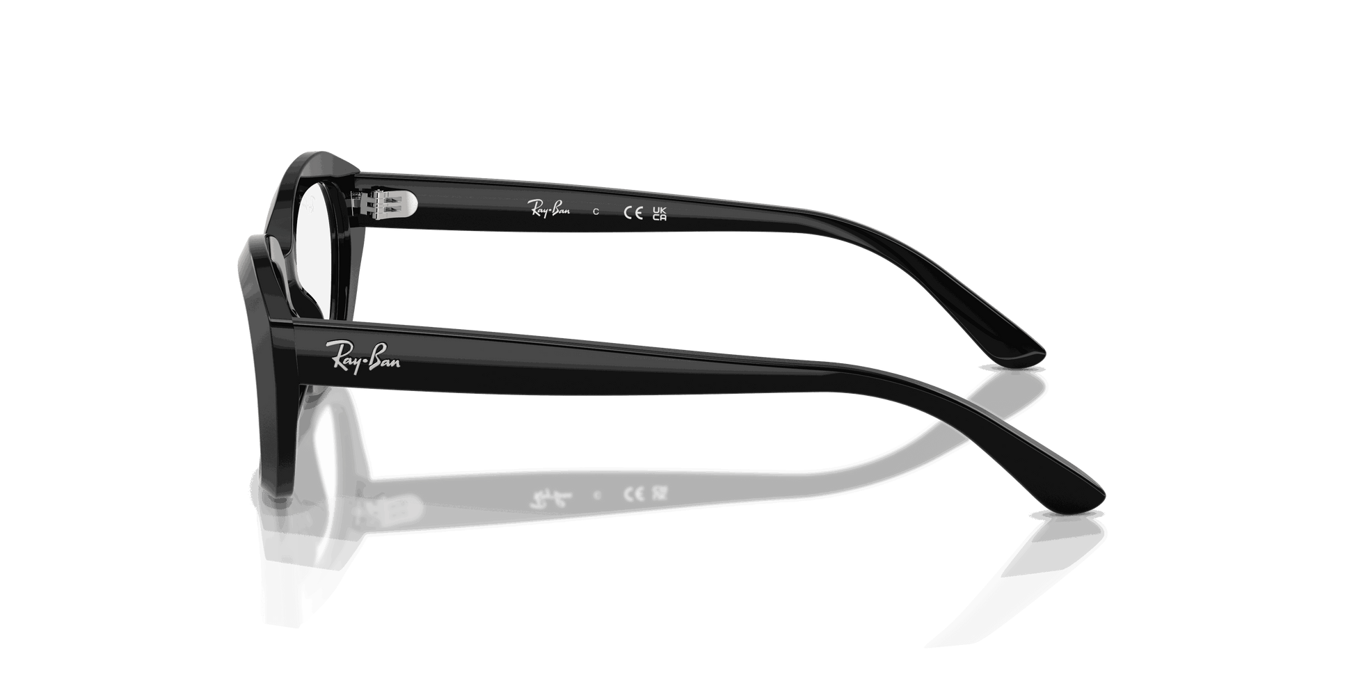 [Clear Lenses, Polished Black Frame]