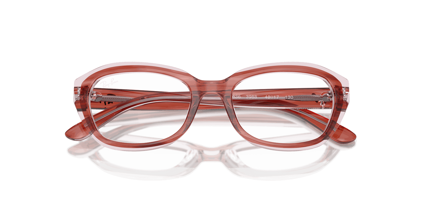 [Clear Lenses, Polished Striped Pink On Transparent Pink Frame]