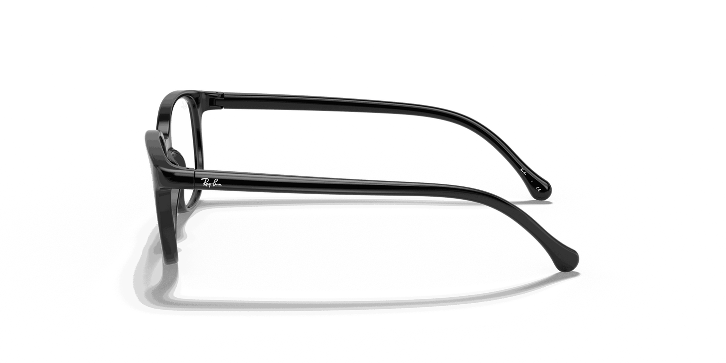 [Clear Lenses, Polished Black Frame]