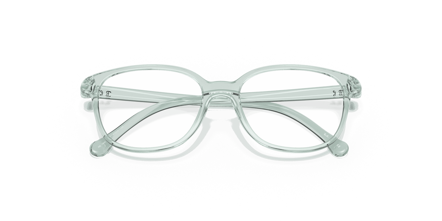 [Clear Lenses, Polished Transparent Green Frame]