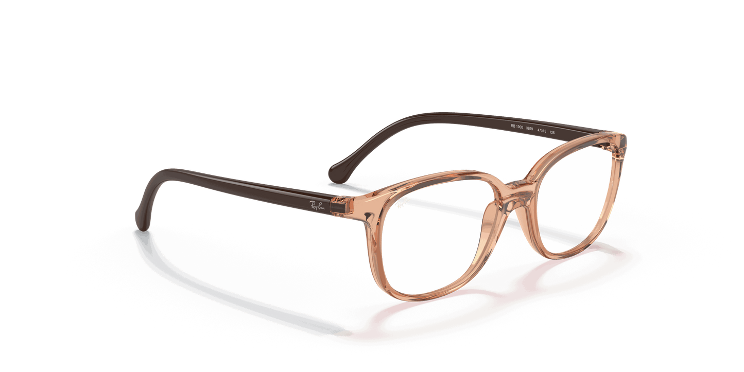 [Clear Lenses, Polished Transparent Brown Frame]