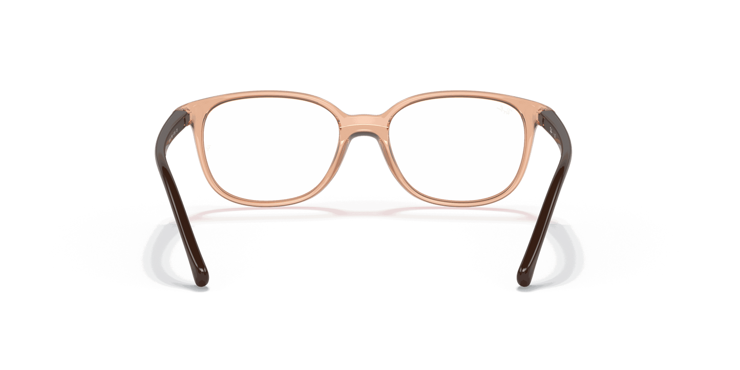 [Clear Lenses, Polished Transparent Brown Frame]