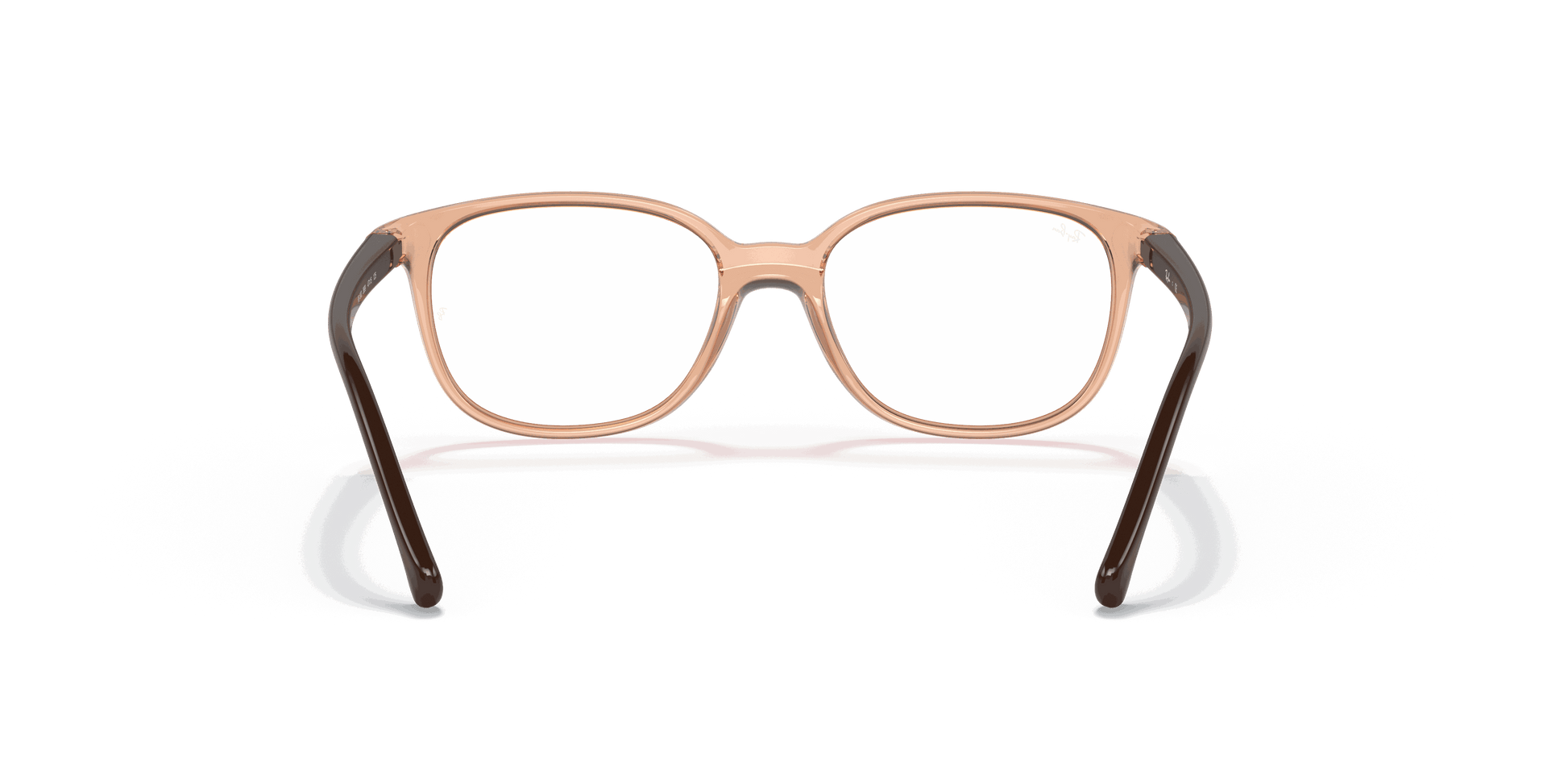 [Clear Lenses, Polished Transparent Brown Frame]
