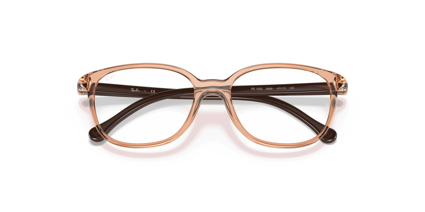 [Clear Lenses, Polished Transparent Brown Frame]
