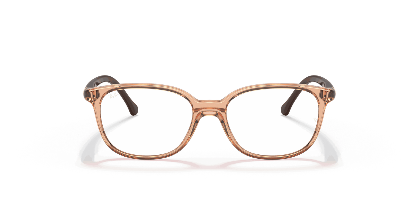[Clear Lenses, Polished Transparent Brown Frame]
