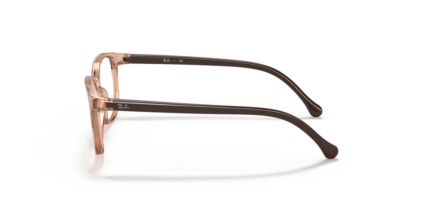 [Clear Lenses, Polished Transparent Brown Frame]