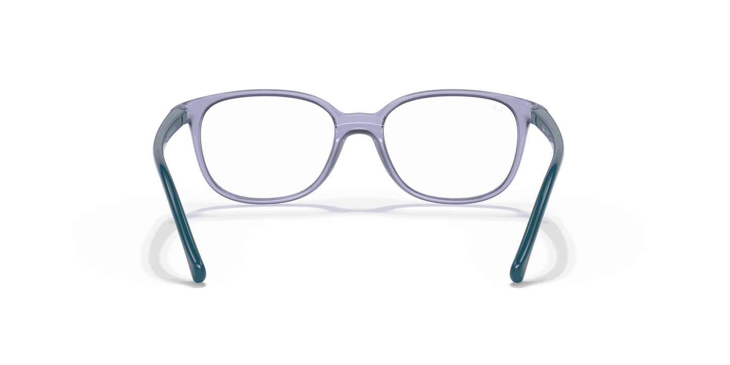 [Clear Lenses, Polished Transparent Violet Frame]