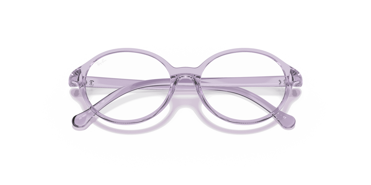 [Clear Lenses, Polished Transparent Violet Frame]