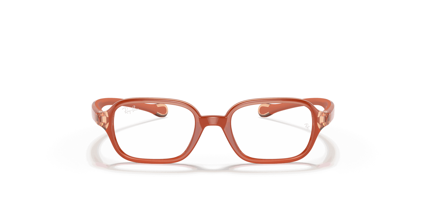 [Clear Lenses, Polished Orange Frame]