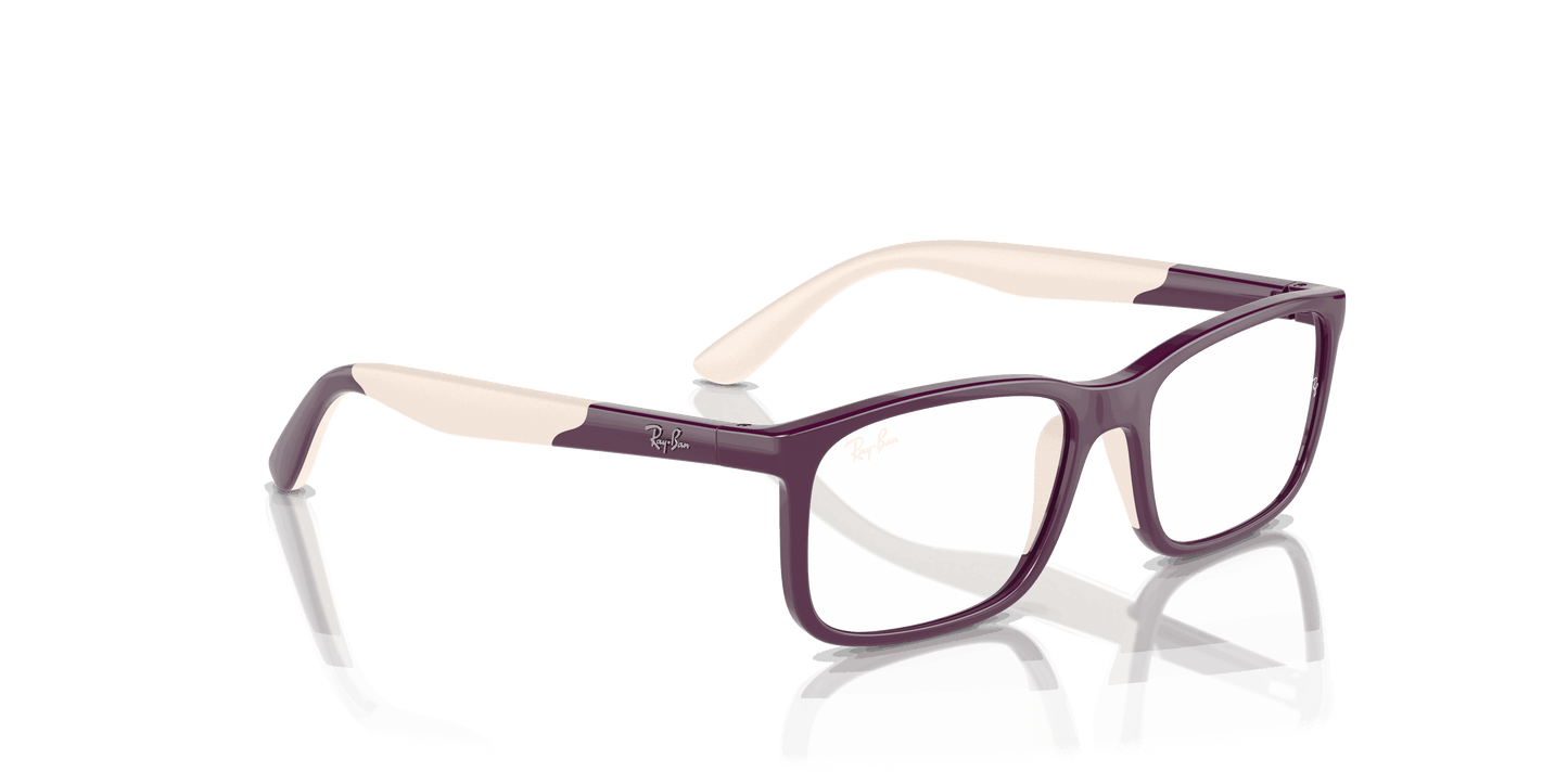 [Clear Lenses, Polished Purple On Light Brown Frame]