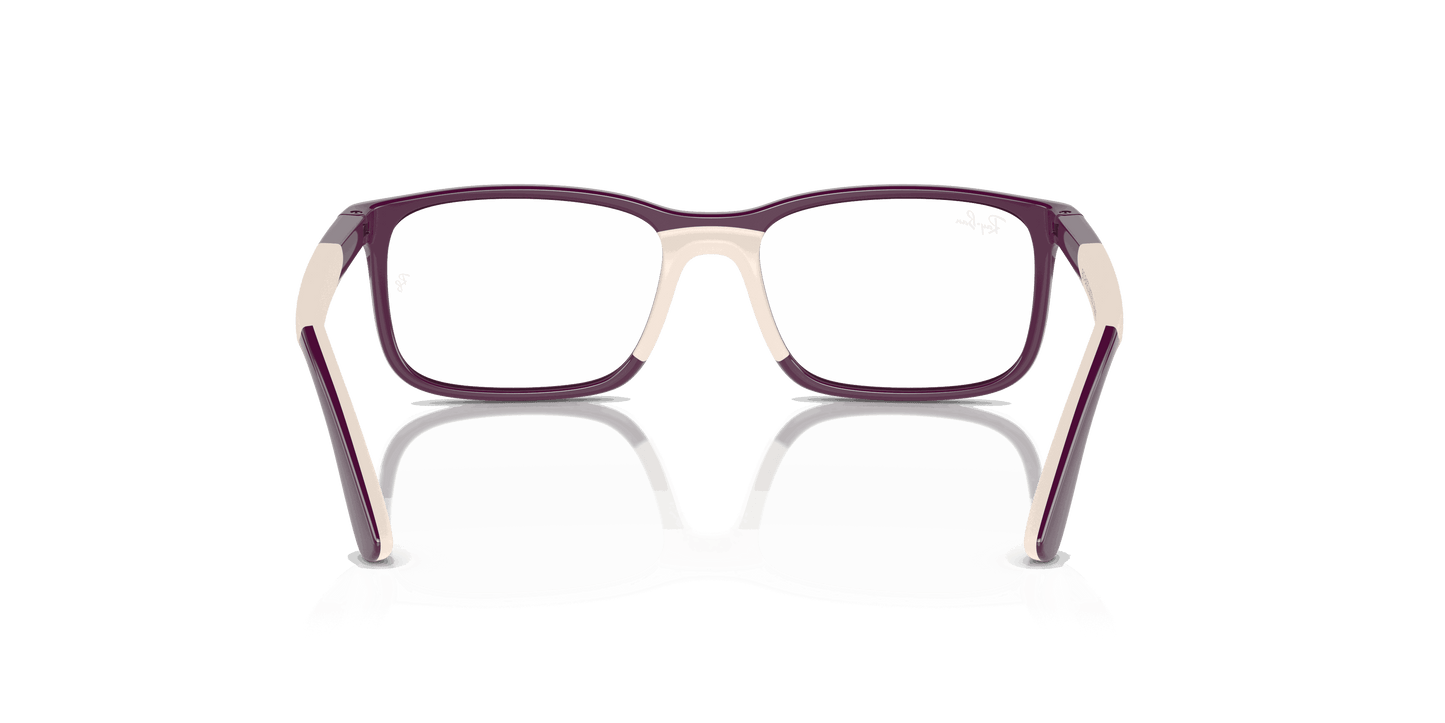 [Clear Lenses, Polished Purple On Light Brown Frame]