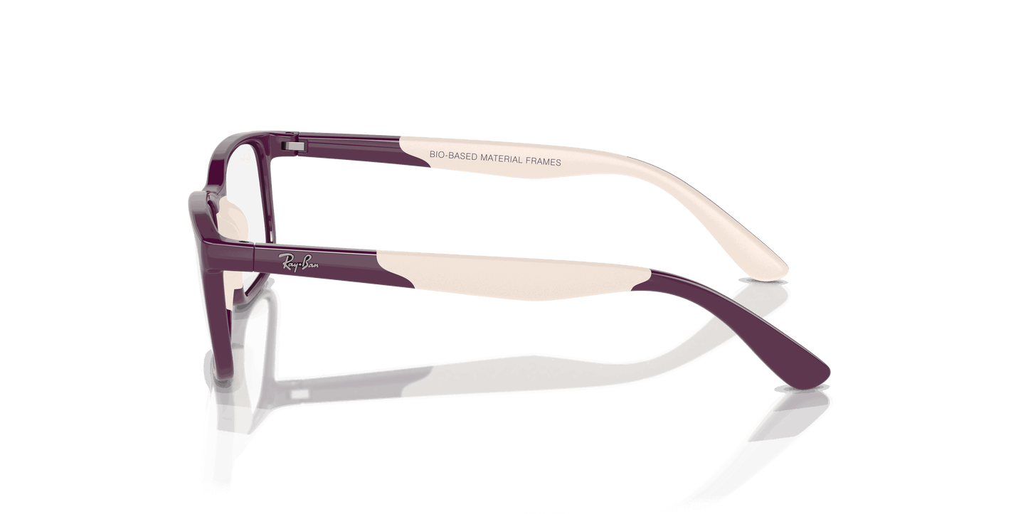 [Clear Lenses, Polished Purple On Light Brown Frame]