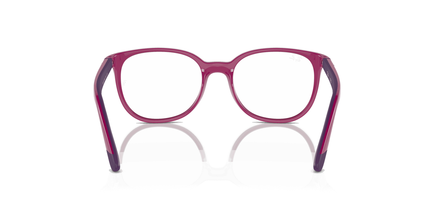 [Clear Lenses, Polished Fuchsia On Violet Frame]
