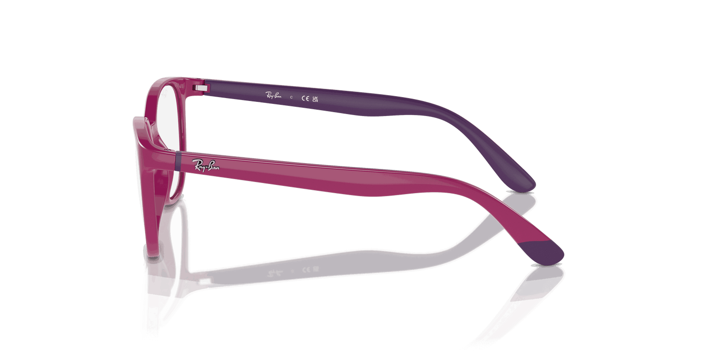 [Clear Lenses, Polished Fuchsia On Violet Frame]