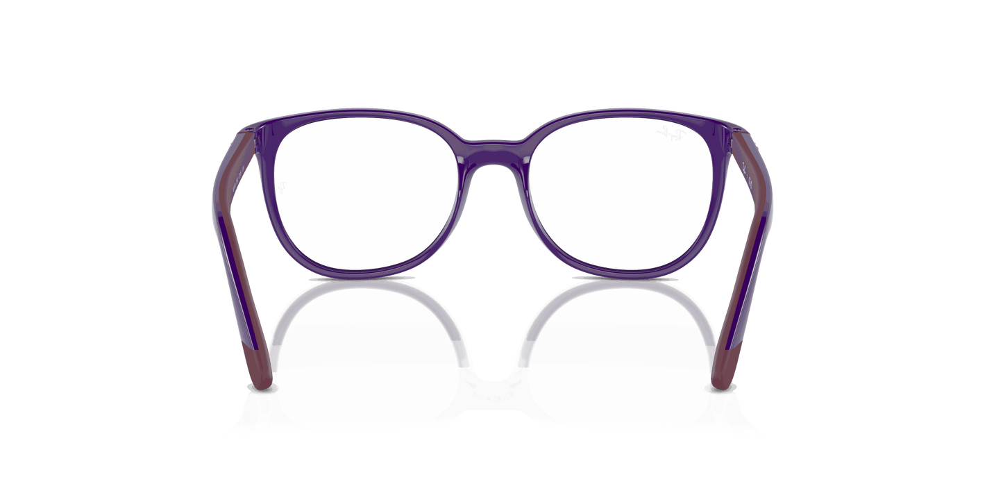 [Clear Lenses, Polished Violet On Bordeaux Frame]