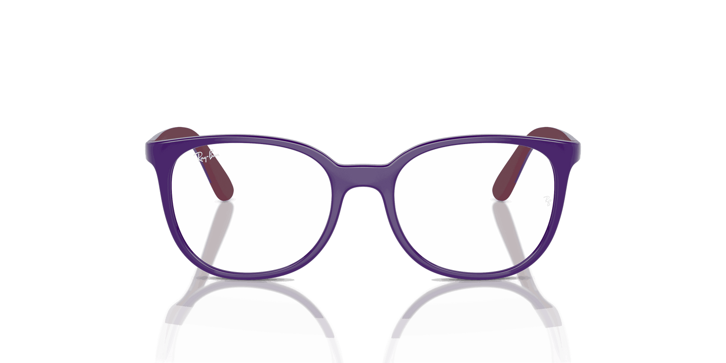 [Clear Lenses, Polished Violet On Bordeaux Frame]