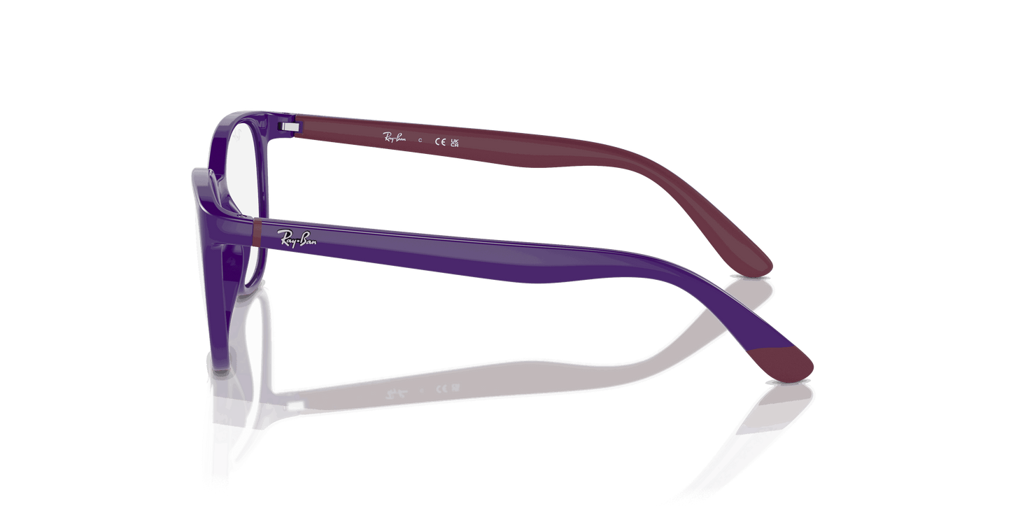 [Clear Lenses, Polished Violet On Bordeaux Frame]