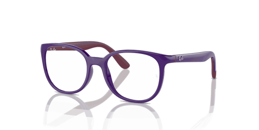 [Clear Lenses, Polished Violet On Bordeaux Frame]