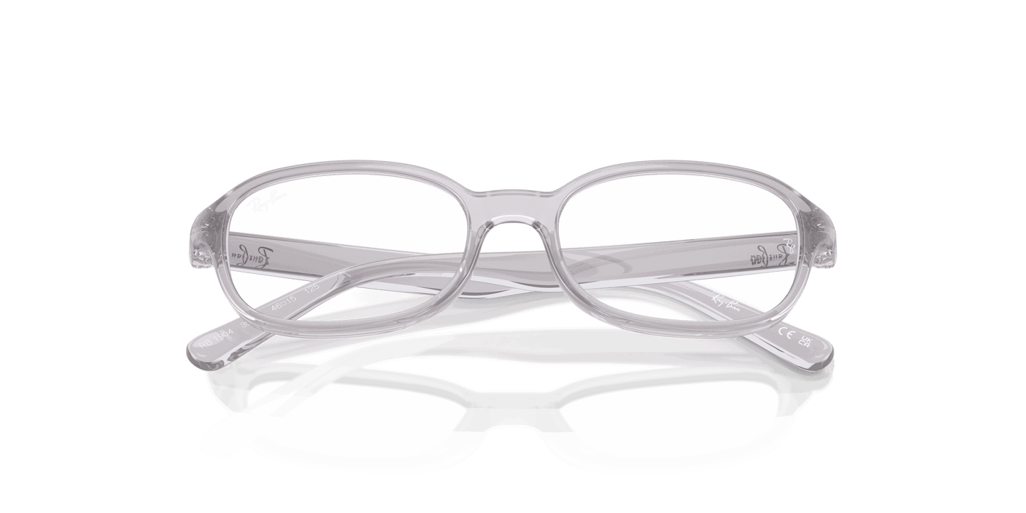 [Clear Lenses, Polished Transparent Grey Frame]