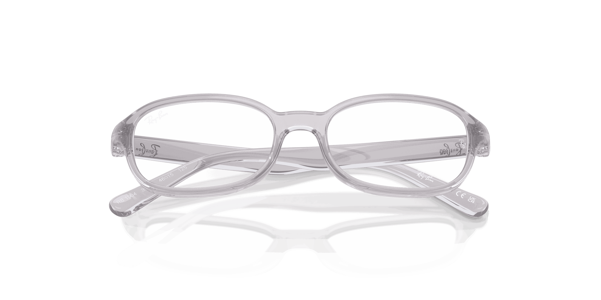 [Clear Lenses, Polished Transparent Grey Frame]