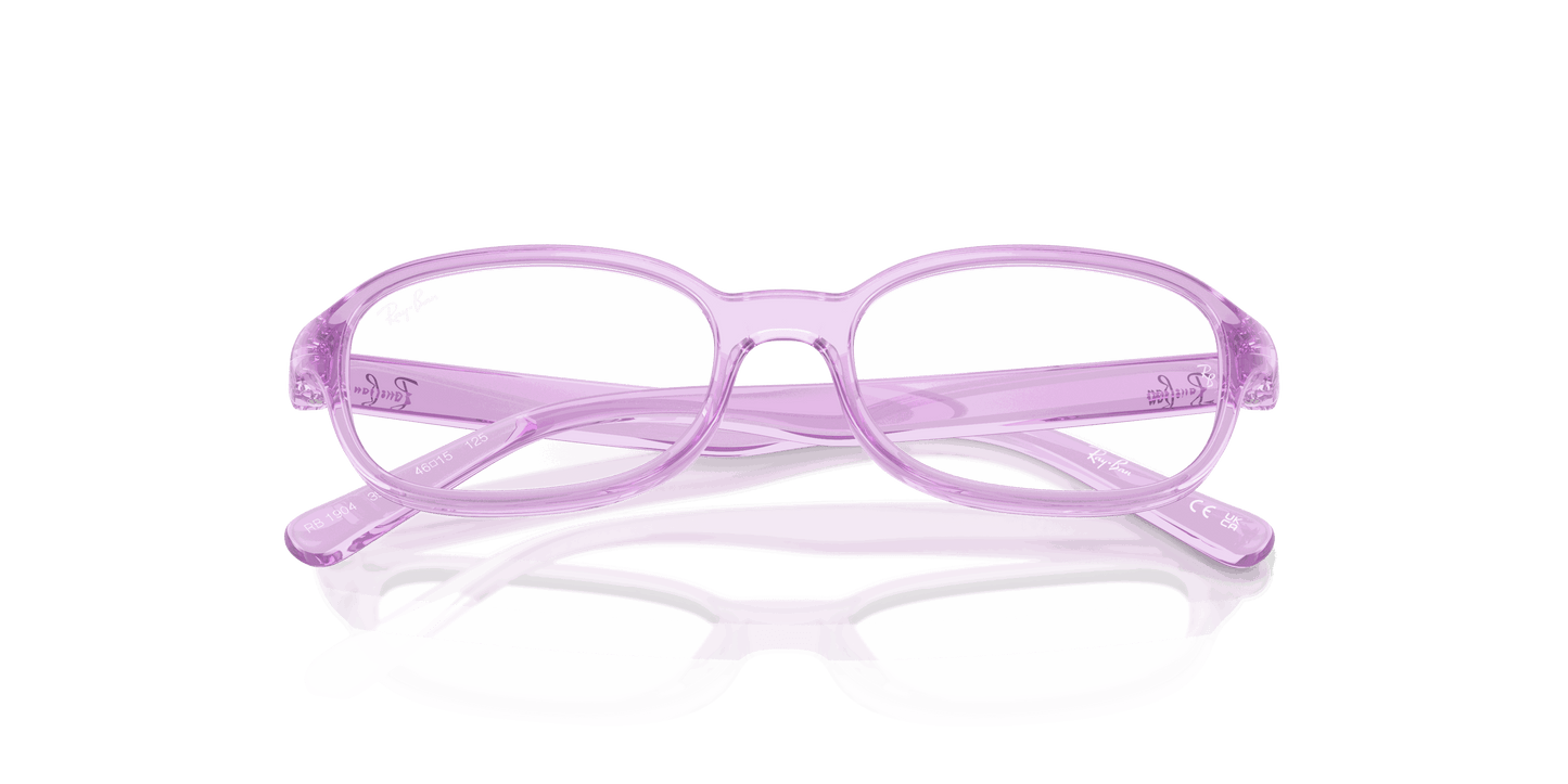 [Clear Lenses, Polished Transparent Violet Frame]