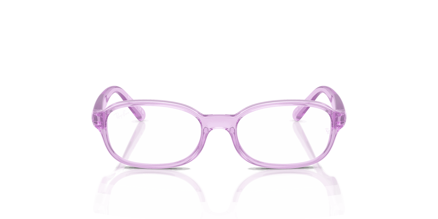 [Clear Lenses, Polished Transparent Violet Frame]