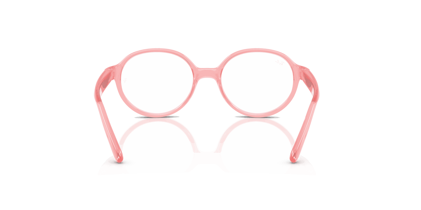 [Clear Lenses, Polished Transparent Light Pink Frame]