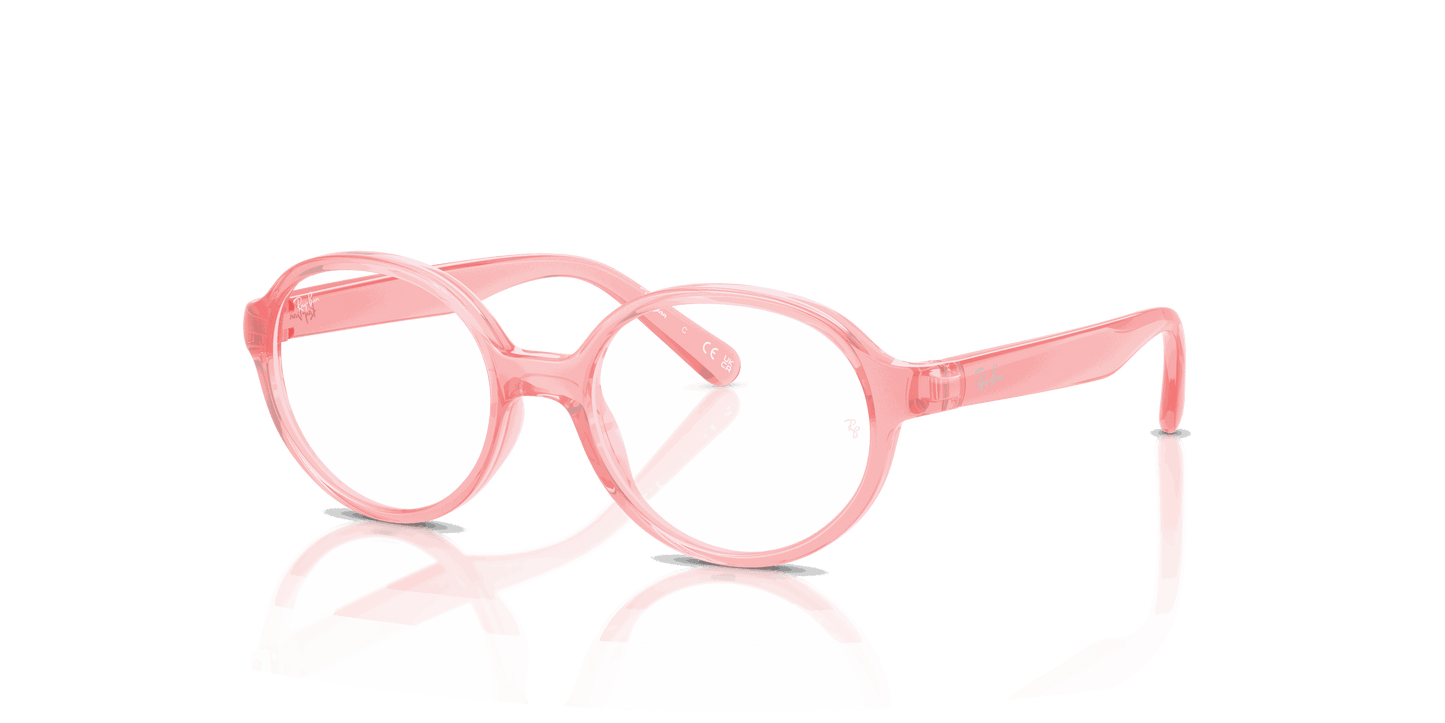 [Clear Lenses, Polished Transparent Light Pink Frame]