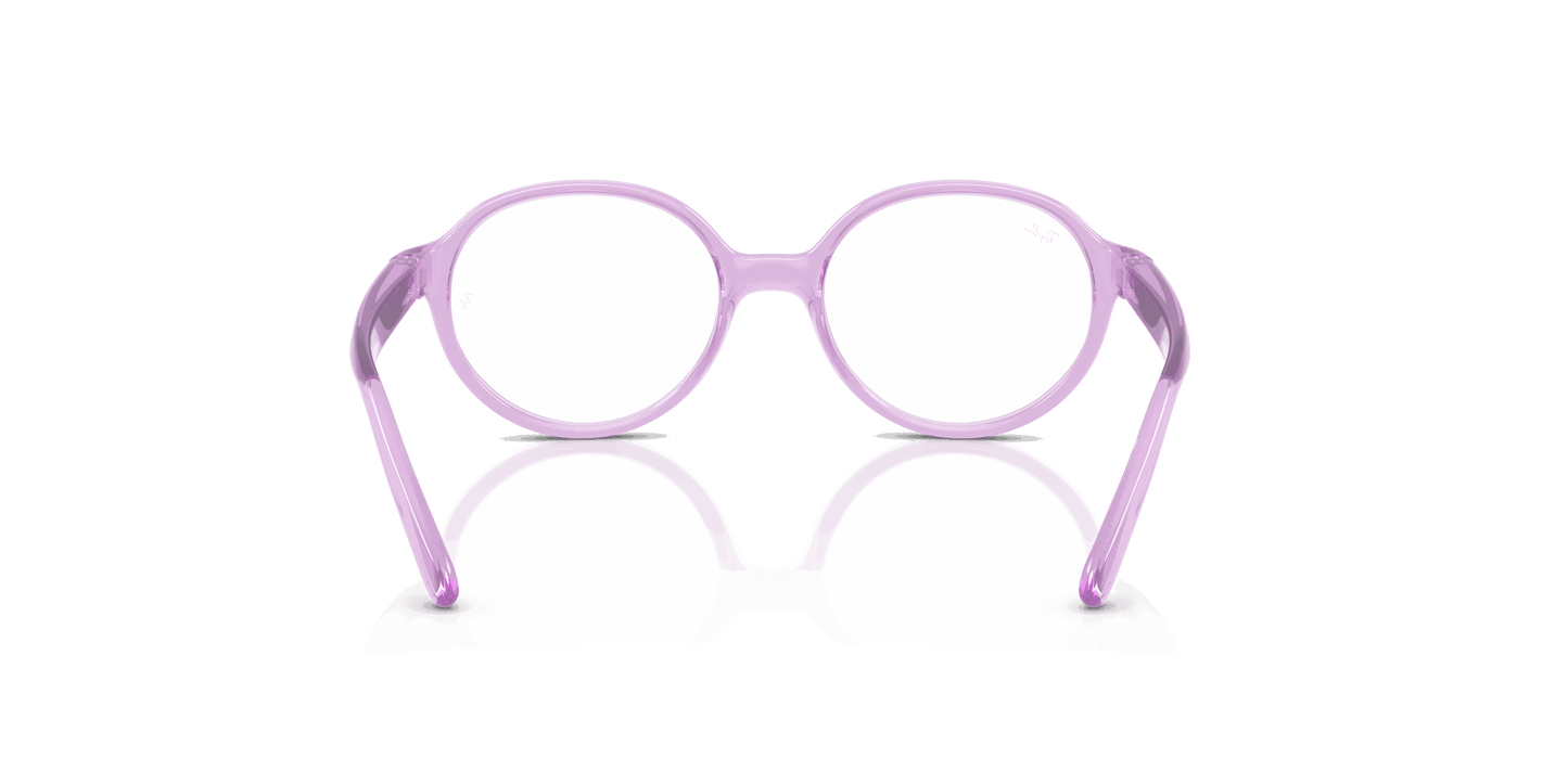 [Clear Lenses, Polished Transparent Violet Frame]