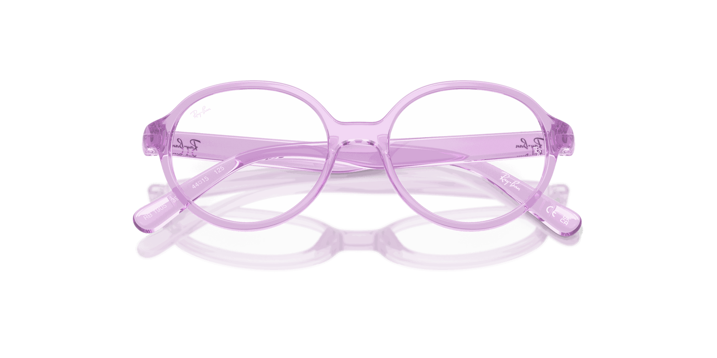 [Clear Lenses, Polished Transparent Violet Frame]