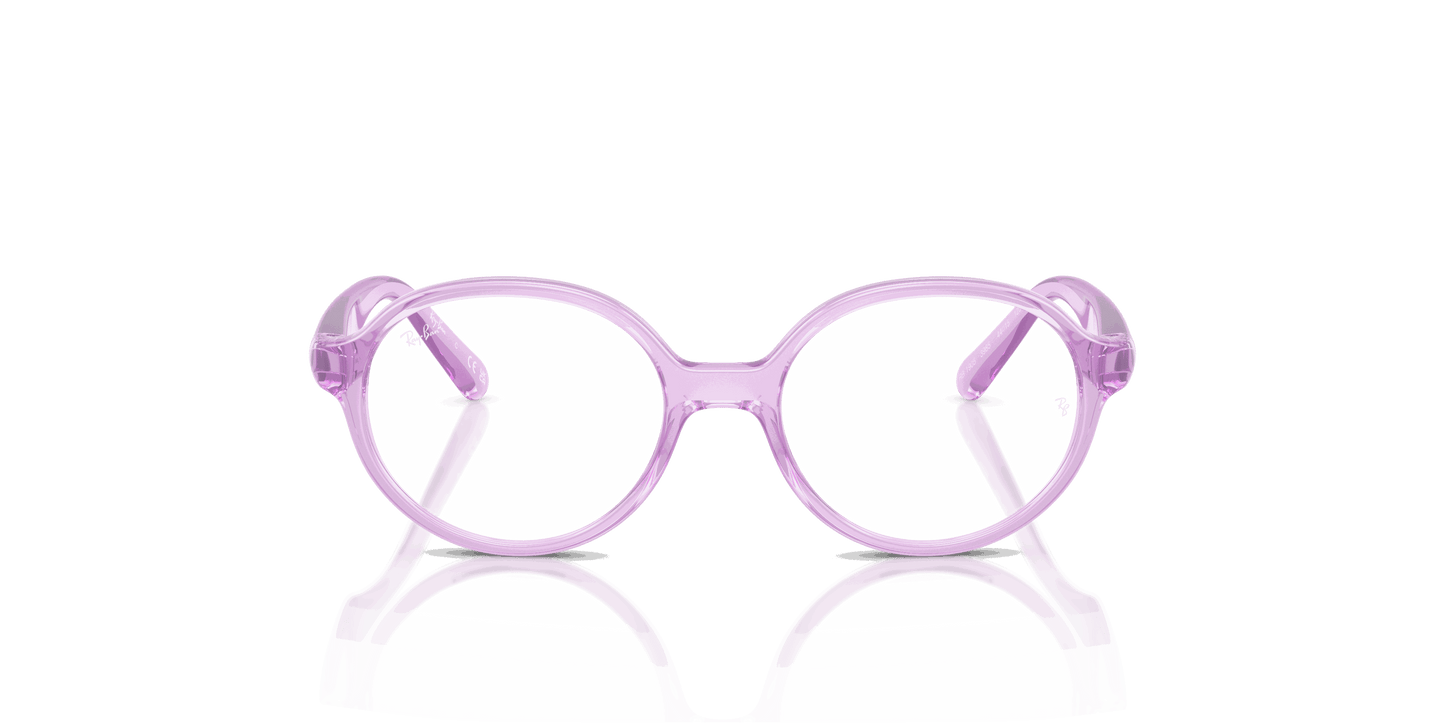 [Clear Lenses, Polished Transparent Violet Frame]