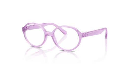[Clear Lenses, Polished Transparent Violet Frame]