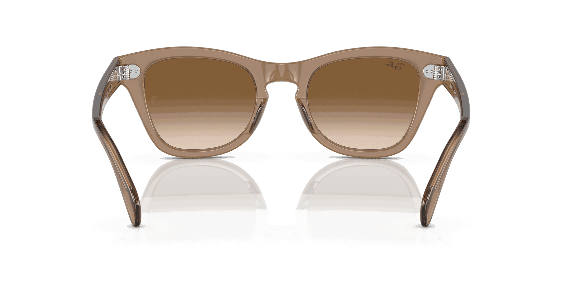 [Brown Lenses, Polished Transparent Light Brown Frame]