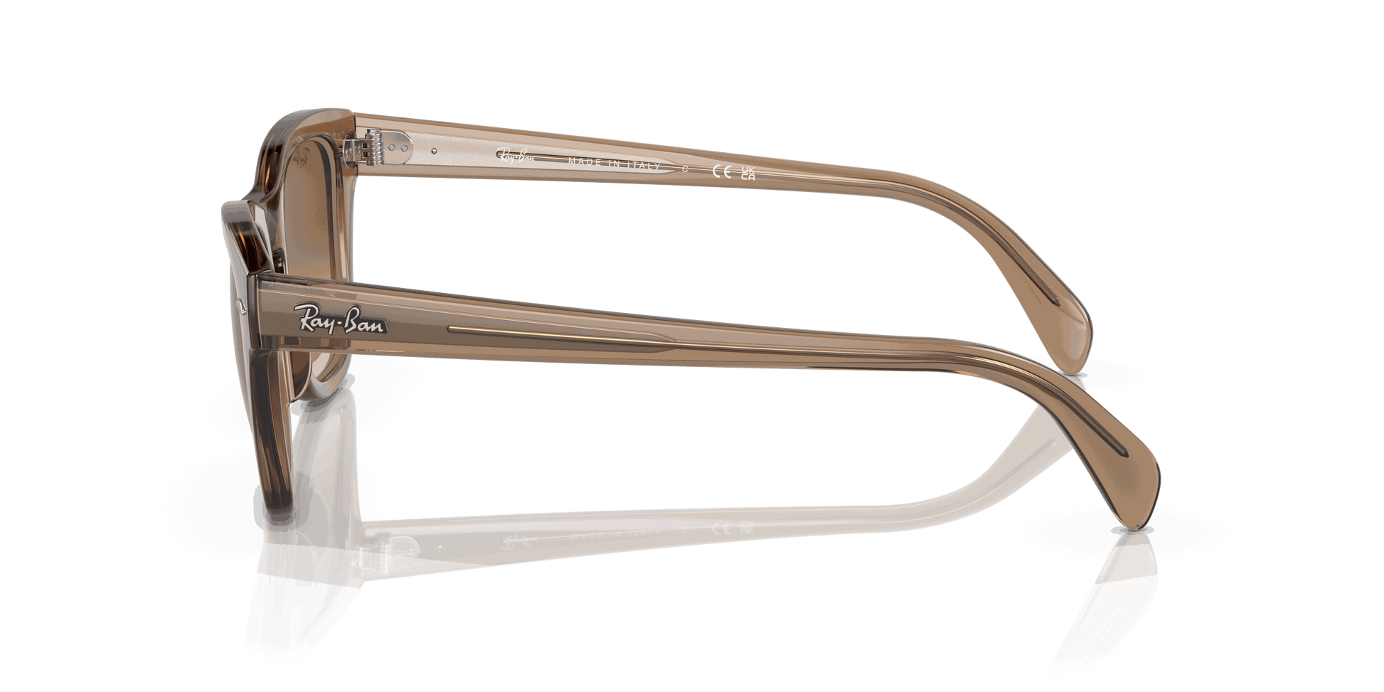[Brown Lenses, Polished Transparent Light Brown Frame]