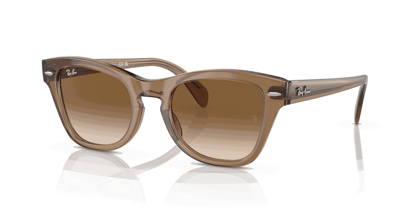 [Brown Lenses, Polished Transparent Light Brown Frame]