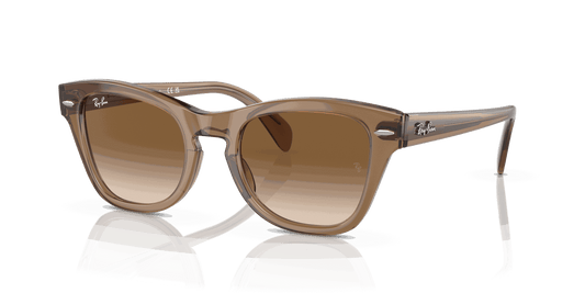 [Brown Lenses, Polished Transparent Light Brown Frame]