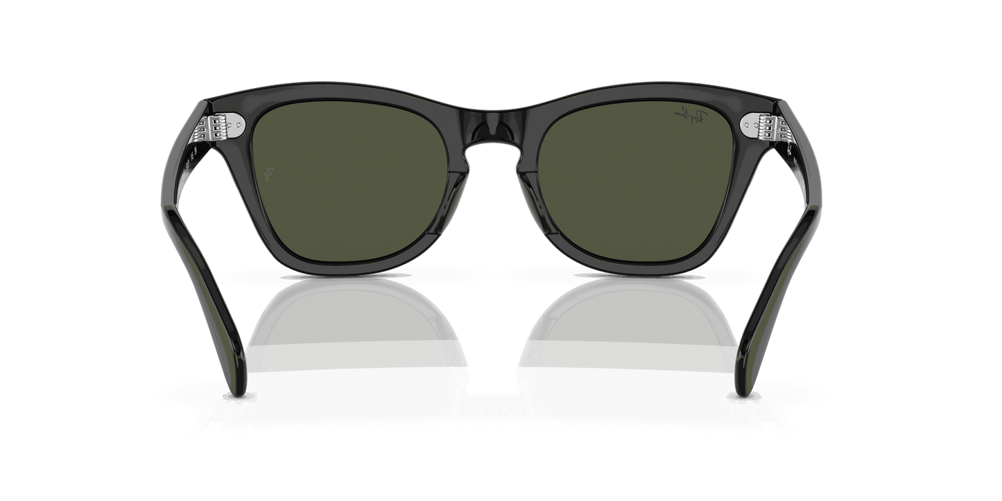 [Green Lenses, Polished Black Frame]