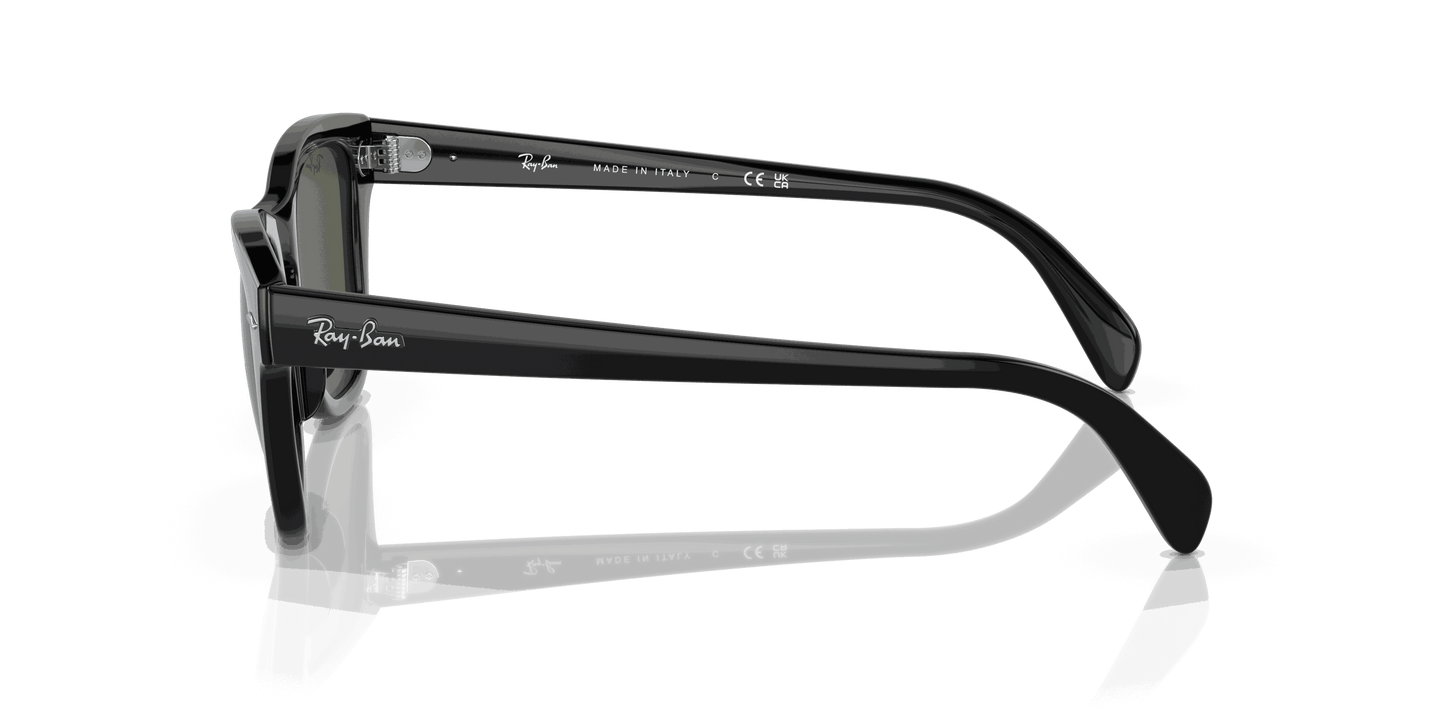 [Green Lenses, Polished Black Frame]