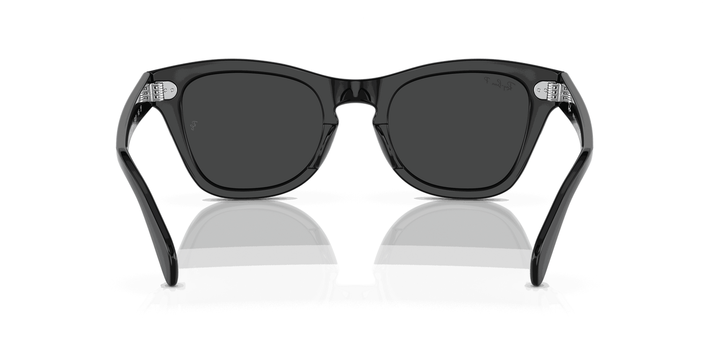 [Black Lenses, Polished Black Frame]