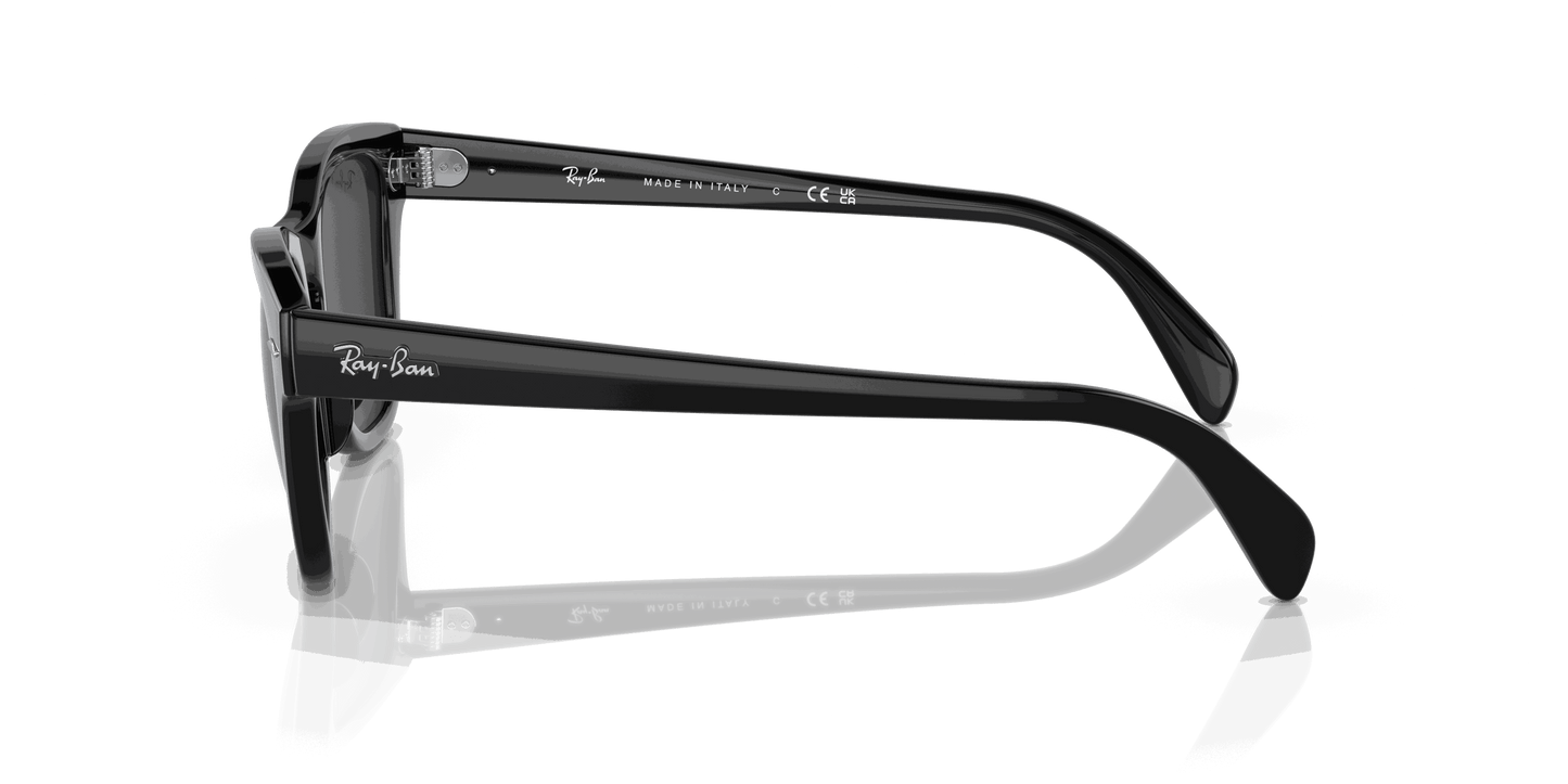 [Black Lenses, Polished Black Frame]